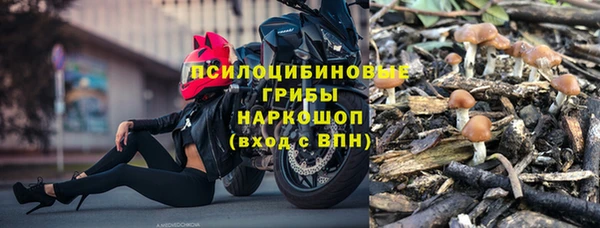стаф Алексеевка